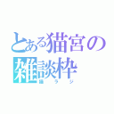 とある猫宮の雑談枠（猫ラジ）