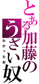 とある加藤のうざい奴（わかったお）