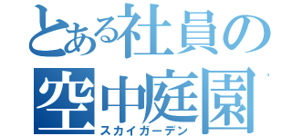 とある社員の空中庭園（スカイガーデン）