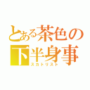 とある茶色の下半身事情（スカトリスト）