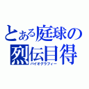 とある庭球の烈伝目得（バイオグラフィー）