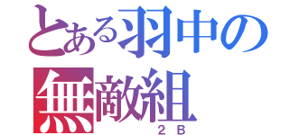 とある羽中の無敵組（　　　２Ｂ）