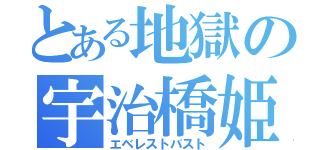 とある地獄の宇治橋姫（エベレストバスト）