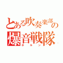 とある吹奏楽部の爆音戦隊（ホルン）