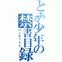 とある少年の禁書目録（インデックス）