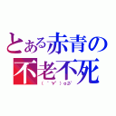 とある赤青の不老不死（（　゜∀゜）ｏ彡゜）