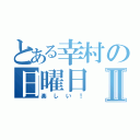 とある幸村の日曜日Ⅱ（楽しい！）