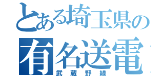 とある埼玉県の有名送電線（武蔵野線）