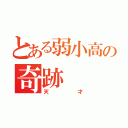 とある弱小高の奇跡（天才）