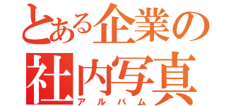 とある企業の社内写真（アルバム）