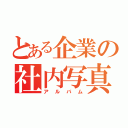 とある企業の社内写真（アルバム）