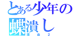 とある少年の蝶潰し（理由２）