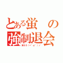 とある蛍の強制退会（消えろ（＝゜ω゜）ノ）