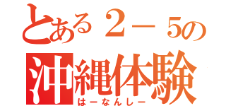 とある２－５の沖縄体験（はーなんしー）