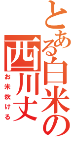 とある白米の西川丈（お米炊ける）