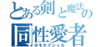 とある剣と魔法の同性愛者（ホモセクシャル）