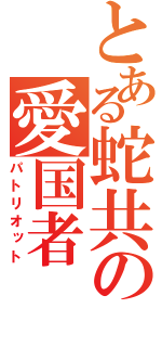 とある蛇共の愛国者（パトリオット）