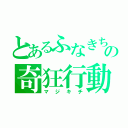 とあるふなきちの奇狂行動（マジキチ）