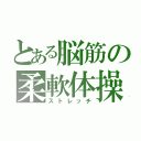 とある脳筋の柔軟体操（ストレッチ）