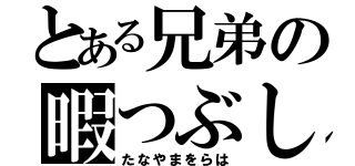 とある兄弟の暇つぶし（たなやまをらは）