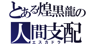 とある煌黒龍の人間支配（エスカドラ）