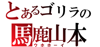 とあるゴリラの馬鹿山本（ウホホーイ）