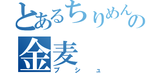 とあるちりめんの金麦（プシュ）