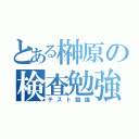 とある榊原の検査勉強（テスト勉強）