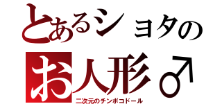 とあるショタのお人形♂（二次元のチンポコドール）