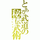 とある武道の秘伝武術（ブレイカー）