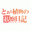 とある植物の観察日記（ウエキング）