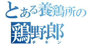 とある養鶏所の鶏野郎（チキン）