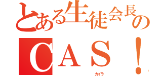 とある生徒会長のＣＡＳ！（              カイラ）