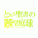 とある聖書の完璧庭球（パーフェクトテニス）