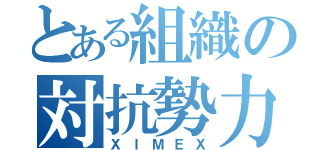 とある組織の対抗勢力（ＸＩＭＥＸ）