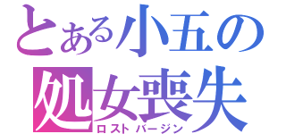 とある小五の処女喪失（ロストバージン）