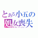 とある小五の処女喪失（ロストバージン）