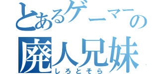 とあるゲーマーの廃人兄妹（しろとそら）