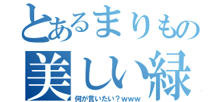 とあるまりもの美しい緑（何が言いたい？ｗｗｗ）