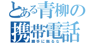 とある青柳の携帯電話（勝手に触るな）