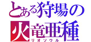 とある狩場の火竜亜種（リオソウル）