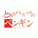 とあるバスケ部のペンギン野郎（かーくん）