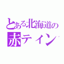 とある北海道の赤ティンファン（）