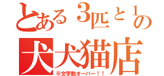 とある３匹と１人のの犬犬猫店長（※文字数オーバー！！）