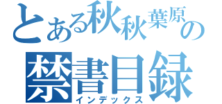 とある秋秋葉原の禁書目録（インデックス）