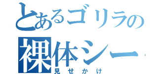 とあるゴリラの裸体シーン（見せかけ）