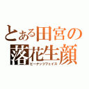 とある田宮の落花生顔（ピーナッツフェイス）