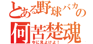 とある野球バカの何苦楚魂（今に見よけよ！）