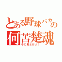 とある野球バカの何苦楚魂（今に見よけよ！）