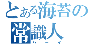 とある海苔の常識人（ハーイ）